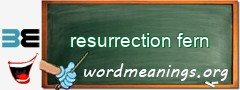 WordMeaning blackboard for resurrection fern